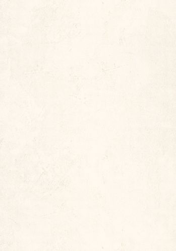 Papier  Peint Patine 2 Uni Caselio