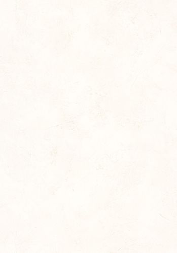 Papier  Peint Patine 2 Uni Caselio