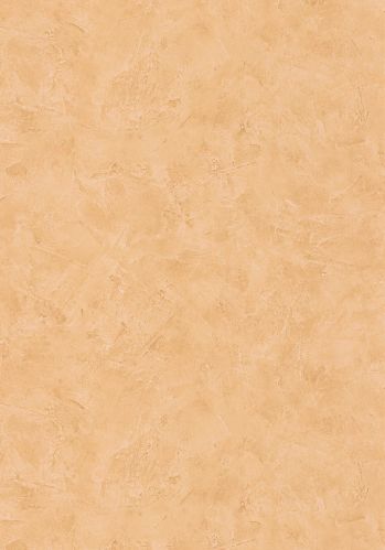 Papier  Peint Patine 2 Uni Caselio