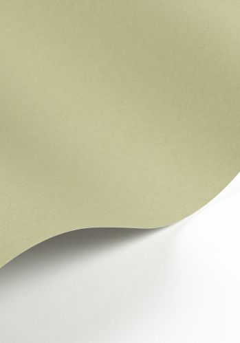 Echantillon Papier Peint Pigments Casadeco