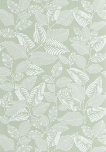 Papier  Peint Paraty Casadeco