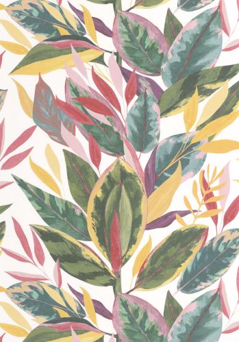 Echantillon Papier Peint Ficus Casadeco