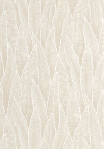 Echantillon Papier Peint Sansevieria Casadeco