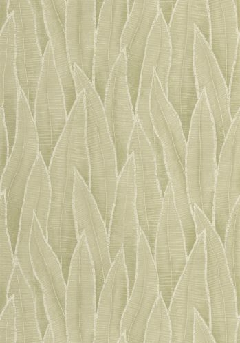 Papier  Peint Sansevieria Casadeco