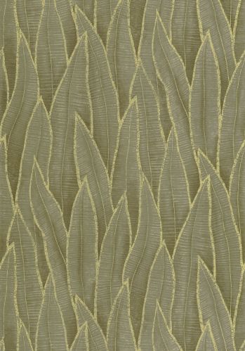 Papier  Peint Sansevieria Casadeco