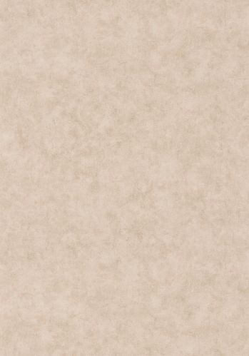 Papier  Peint Beton Uni Caselio