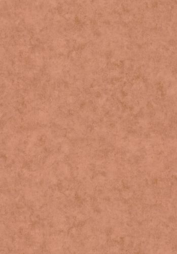 Papier  Peint Beton Uni Caselio