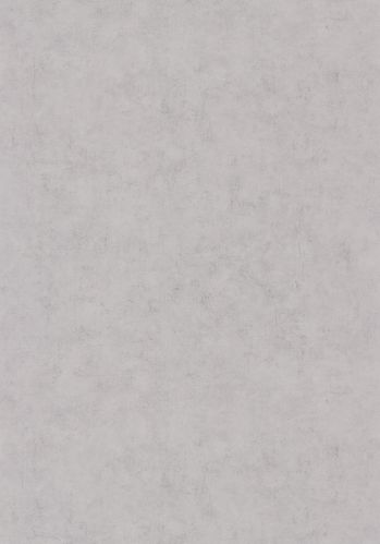 Papier  Peint Beton Uni Caselio