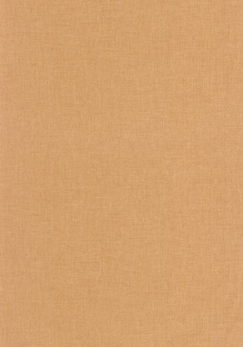 Papier  Peint Uni Mat Caselio