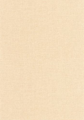 Papier  Peint Uni Mat Caselio