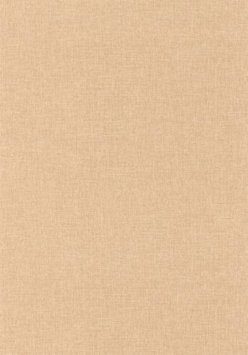 Papier  Peint Uni Caselio
