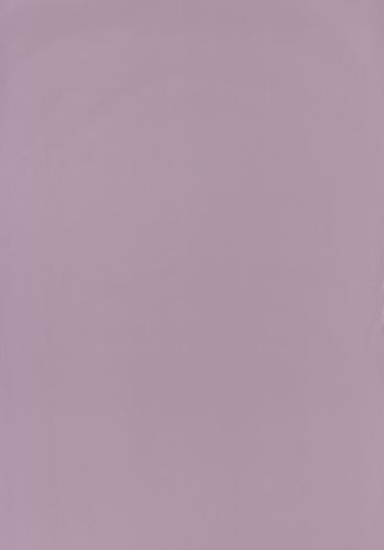 Papier  Peint Rose & Nino Uni Casadeco