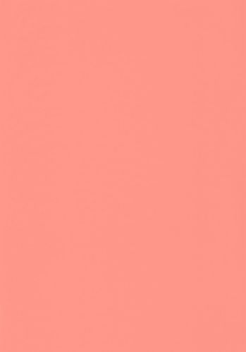 Papier  Peint Rose & Nino Uni Casadeco