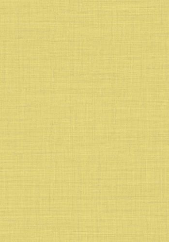 Papier  Peint So Color 4 Uni Casadeco