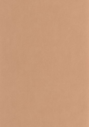 Papier  Peint Nest Casadeco