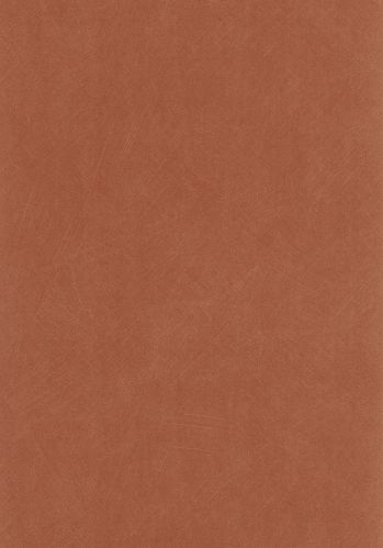 Papier  Peint Nest Casadeco