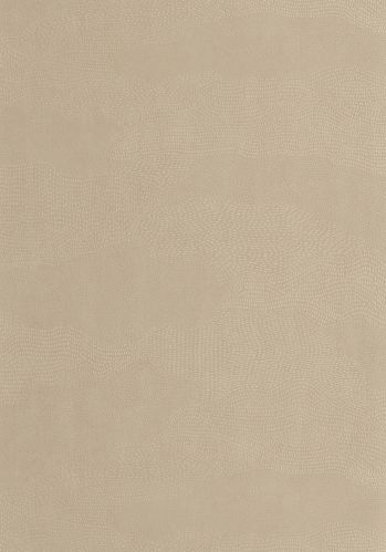 Papier  Peint Nubio Casadeco