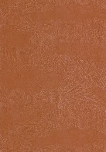 Papier  Peint Nubio Casadeco