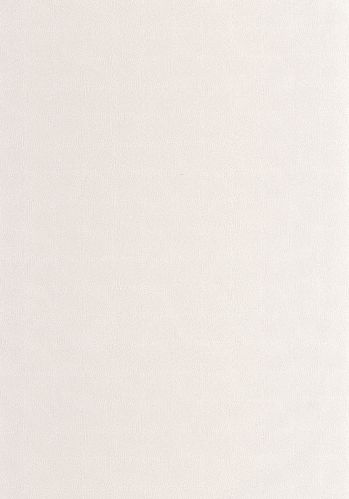 Papier  Peint Asterios Casadeco