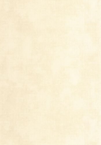 Papier  Peint Stone Casadeco