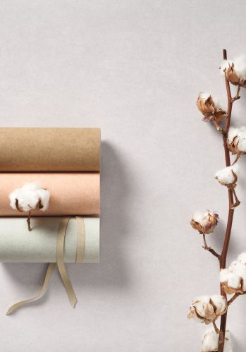 Papier  Peint Cotton Touch Casadeco