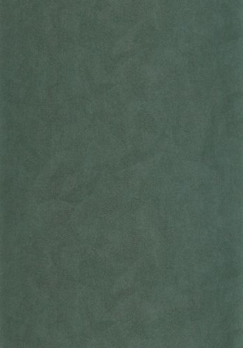 Papier  Peint Masaya Casadeco