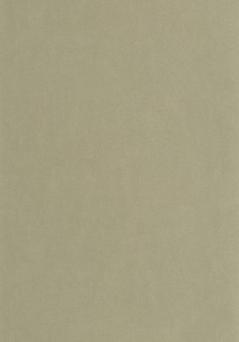 Papier  Peint Masaya Casadeco