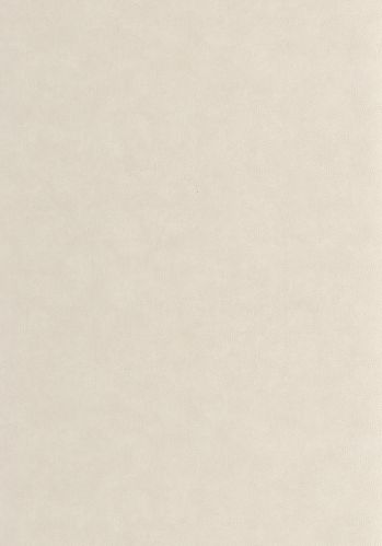 Papier  Peint Asterios Casadeco