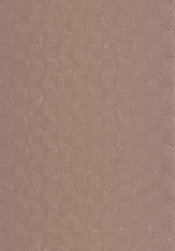 Papier  Peint Asterios Casadeco