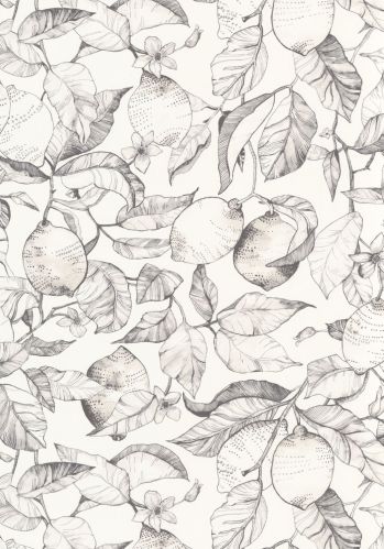 Echantillon Papier Peint Lemon Tree Casadeco