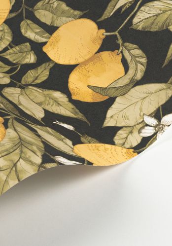 Echantillon Papier Peint Lemon Tree Casadeco