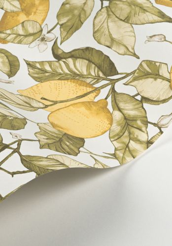 Echantillon Papier Peint Lemon Tree Casadeco