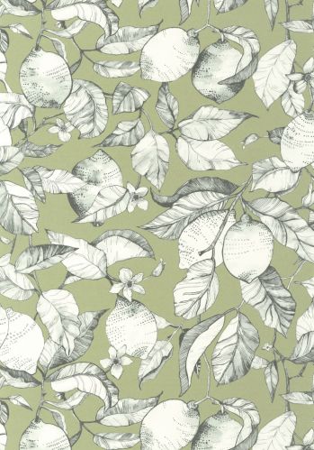 Echantillon Papier Peint Lemon Tree Casadeco