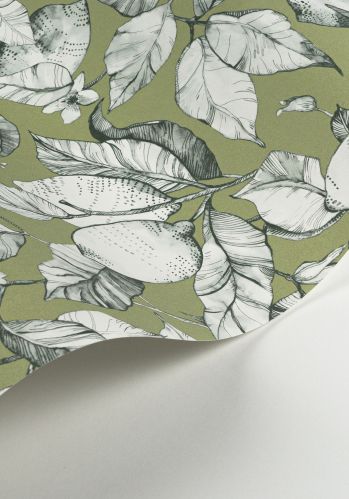 Echantillon Papier Peint Lemon Tree Casadeco