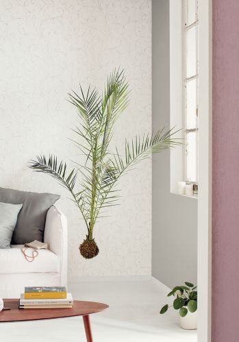 Papier  Peint So White 3 Uni Casadeco