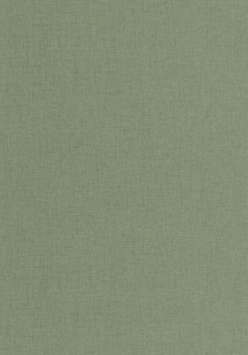 Echantillon Papier Peint Uni Mat Caselio