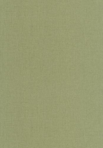 Papier  Peint Uni Mat Caselio