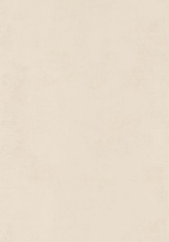 Papier  Peint Stone Casadeco