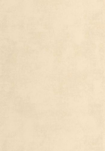 Papier  Peint Stone Casadeco