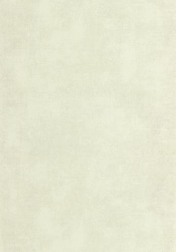 Papier  Peint Stone Casadeco