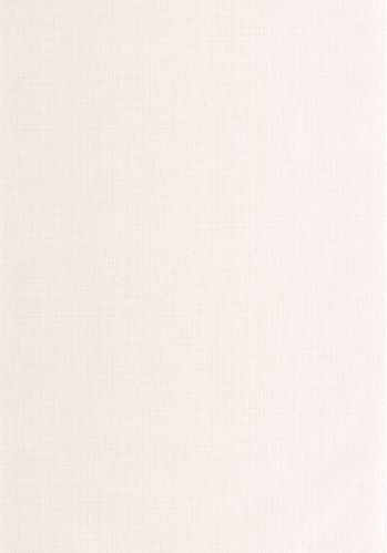 Papier  Peint Raphia Caselio