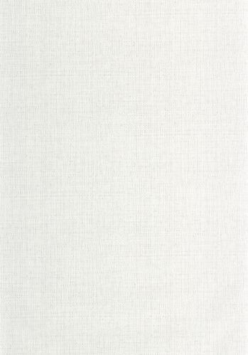 Papier  Peint Raphia Caselio