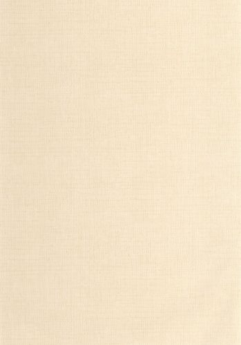 Papier  Peint Raphia Caselio