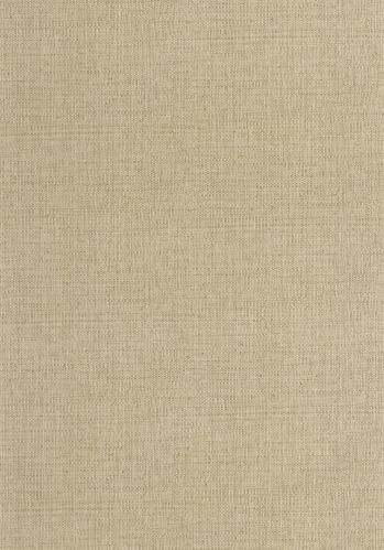 Papier  Peint Raphia Caselio