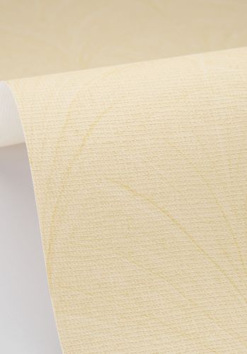 Papier  Peint Vibration Caselio