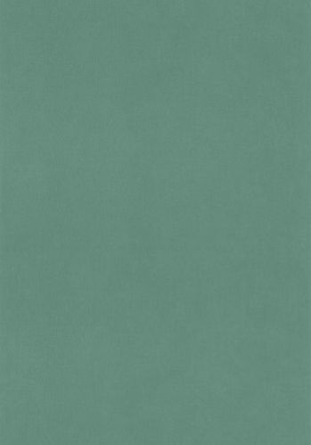 Papier  Peint Uni Caselio