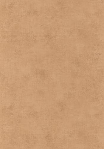 Papier  Peint Telas 2 Uni Metalises Caselio