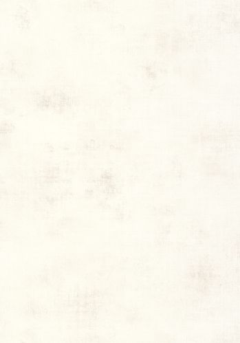 Papier  Peint Telas 2 Caselio