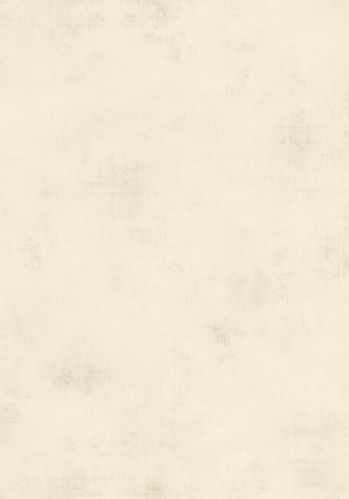 Papier  Peint Telas 2 Uni Caselio