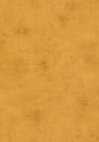 Papier  Peint Telas 2 Uni Caselio